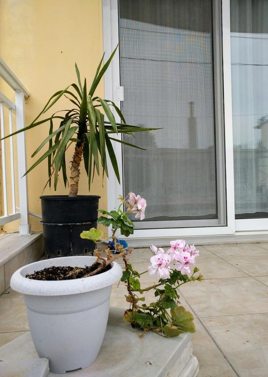 Dimitris Luxury Apartment Keramotí Eksteriør bilde